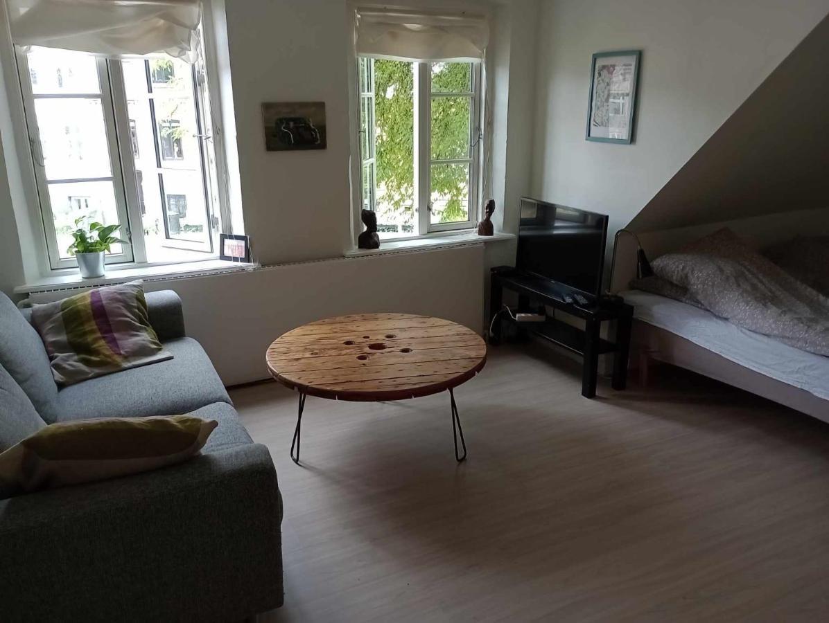 אודנזה Professor Labri Apartments מראה חיצוני תמונה